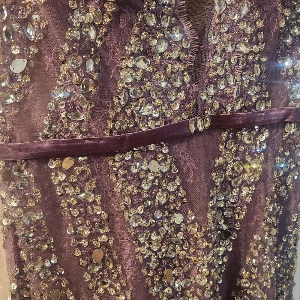 Stunning Sheer V Neck Sequin 👗 Evening Special sz xs 4 - Picture 4 of 7